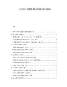 2025年中國鍍鋁膜市場調查研究報告