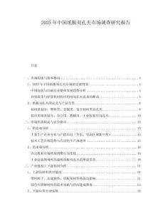 2025年中國(guó)紙板雙孔夾市場(chǎng)調(diào)查研究報(bào)告