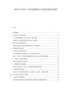 2025年中國(guó)十字雙色軟柄起子市場(chǎng)調(diào)查研究報(bào)告