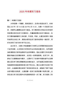 2025年傳媒實習報告