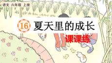 24人教統編版-小學六年級上冊第五單元16 夏天里的成長 課課練