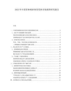 2025年中國(guó)菲林噴砂體育獎(jiǎng)杯市場(chǎng)調(diào)查研究報(bào)告