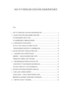 2025年中國清潔球專用拉絲機市場調查研究報告