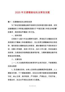2025年交通稽查站執(zhí)法策劃支配