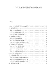 2025年中國(guó)腳蹬帶市場(chǎng)調(diào)查研究報(bào)告