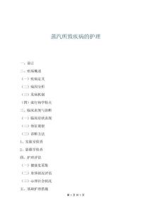 蒸汽所致疾病的護理