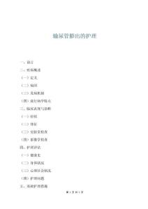 輸尿管膨出的護(hù)理