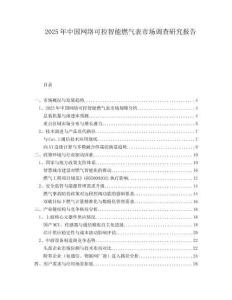 2025年中國網絡可控智能燃氣表市場調查研究報告
