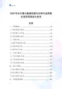 2025年云計算大數據挖掘與分析行業跨境出海項目商業計劃書