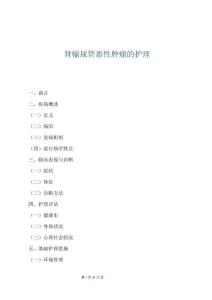 腎輸尿管惡性腫瘤的護理