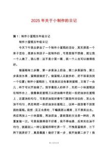 2025年關(guān)于小制作的日記
