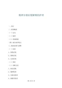 精神分裂癥緩解期的護理