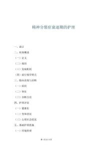 精神分裂癥衰退期的護理