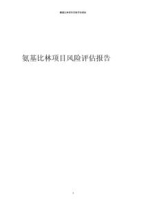 氨基比林項(xiàng)目風(fēng)險(xiǎn)評(píng)估報(bào)告