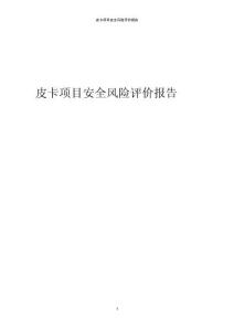 皮卡項(xiàng)目安全風(fēng)險(xiǎn)評價(jià)報(bào)告