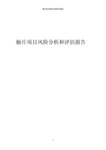 觸片項目風(fēng)險分析和評估報告