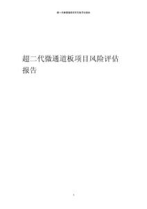 超二代微通道板項目風險評估報告