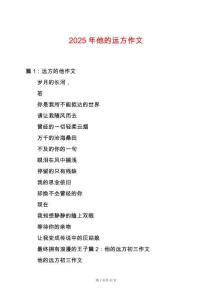 2025年他的遠方作文