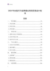 2025年合拍片行業(yè)跨境出海項目商業(yè)計劃書