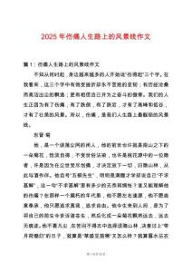 2025年傷痛人生路上的風景線作文