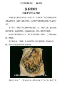 0509-艾氏解剖筆記：腹腔腹膜