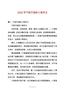 2025年不屈不撓的小草作文