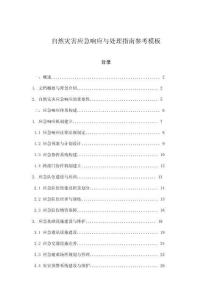 自然災害應急響應與處理指南參考模板