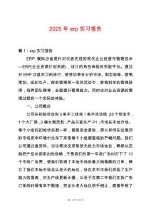 2025年erp實習報告_1