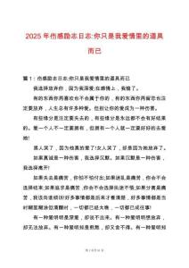 2025年傷感勵志日志-你只是我愛情里的道具而已