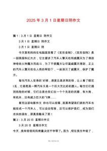 2025年3月1日星期日陰作文