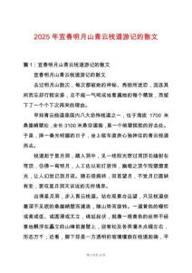 2025年宜春明月山青云棧道游記的散文
