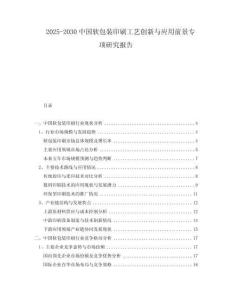 2025-2030中國(guó)軟包裝印刷工藝創(chuàng)新與應(yīng)用前景專項(xiàng)研究報(bào)告