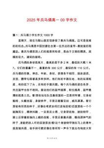 2025年兵馬俑高一00字作文