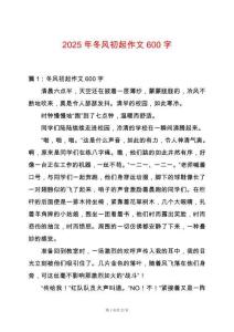 2025年冬風初起作文600字