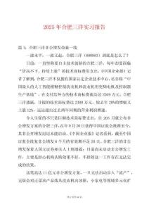 2025年合肥三洋實習報告