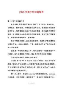 2025年賣手機實踐報告