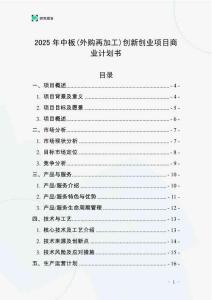 2025年中板(外購再加工)創(chuàng)新創(chuàng)業(yè)項(xiàng)目商業(yè)計(jì)劃書