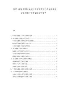 2025-2030中國區塊鏈技術應用發展分析及商業化前景預測與投資策略研究報告