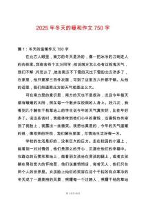 2025年冬天的暖和作文750字