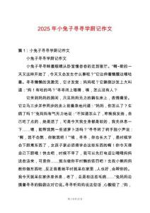 2025年小兔子尋尋學(xué)廚記作文