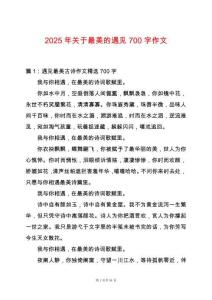 2025年關(guān)于最美的遇見(jiàn)700字作文