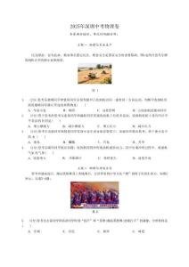 2025年深圳市中考物理真題（附答案）