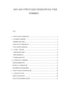 2025-2030中國汽車水泵行業發展分析及電子化轉型預測報告