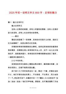 2025年初一說明文作文800字：足球的魅力