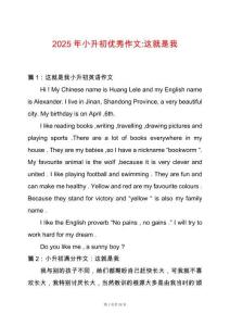 2025年小升初優秀作文-這就是我