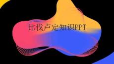比伐盧定知識PPT