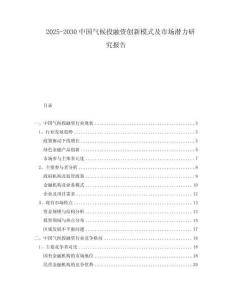 2025-2030中國氣候投融資創新模式及市場潛力研究報告