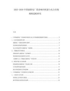 2025-2030中國虛擬電廠需求響應機制與電力市場規則適配研究