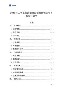 2025年二手車性能提升改裝創新創業項目商業計劃書