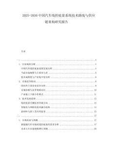 2025-2030中國汽車線控底盤系統(tǒng)技術(shù)路線與供應(yīng)鏈重構(gòu)研究報告